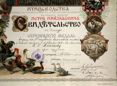 Старинное свидетельство в раме на большую серебряную медаль за участие в выставке живой и битой птицы, Москва, 1912 г.