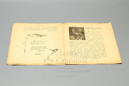 Двухнедельный журнал для детей младшего возраста «Светлячок», № 2, январь 1917 г.