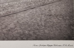 Старинная фотогравюра «Церковь Успения Пресвятой Богородицы в Печатниках на Сретенке», фирма «Шерер, Набгольц и Ко», Москва, 1881 г.