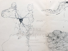 Старинная гравюра «Симпатическая нервная система», бумага, Брокгауз и Ефрон​, Санкт-Петербург, 1900-е