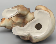 Статуэтка «Медведь бурый»​, скульптор Веселов  П. П., ЛФЗ, 1992-2001 гг.