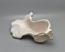 Авторская декоративная ваза «Устрица», скульптор Асиновский И. А., фарфор, Санкт-Петербург, 2008 г.