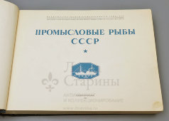 Большой атлас с цветными рисунками «Промысловые рыбы СССР», ВНИРО, Пищепромиздат, 1949 г.