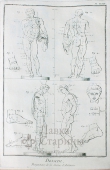 Гравюра «Пропорции статуи Антиноя»