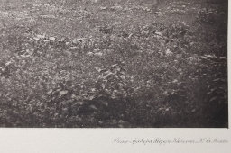 Старинная фотогравюра «Церковь Благовещения Пресвятой Богородицы на Тверской», фирма «Шерер, Набгольц и Ко», Москва, 1881 г.