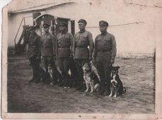 Старинная групповая фотография пограничников с собаками, СССР, 1930-е