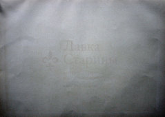 Старинная гравюра «Птицы: ёрш, демонстрирующий свое оперение», Германия, 1700-е