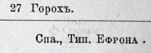 Старинная гравюра «Овощи»