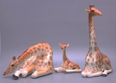 Комплект фарфоровых статуэток «Семейство жирафов», анималистика ЛФЗ, скульптор Веселов П. П.