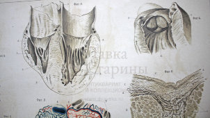 Старинная гравюра «Сердце»