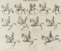 Старинная гравюра «Выездка лошади. Высшая школа», Большая энциклопедия, Россия, к. 19, н. 20 вв.