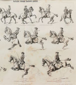 Старинная гравюра «Выездка лошади. Высшая школа», Большая энциклопедия, Россия, к. 19, н. 20 вв.
