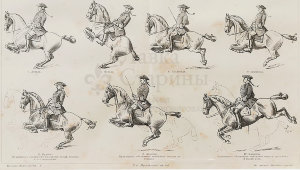 Старинная гравюра «Выездка лошади. Высшая школа», Большая энциклопедия, Россия, к. 19, н. 20 вв.
