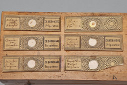 Маленький старинный дорожный микроскоп с набором микропрепаратов в деревянном футляре, Европа, нач. 20 в.