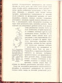Антикварная книга «Половой процесс и размножение у растений», книгоиздательство «Космос», Москва, 1911 г.