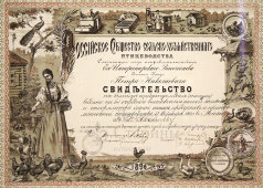 Старинное свидетельство в раме на серебряную медаль за участие в выставке птицеводства, Россия, 1908 г.