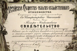 Старинное свидетельство в раме на серебряную медаль за участие в выставке птицеводства, Россия, 1908 г.