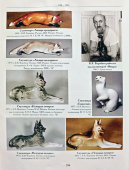 Статуэтка «Собака породы немецкая овчарка», скульптор Воробьев Б. Я., фарфор, анималистика ЛФЗ, 1950-60 гг.