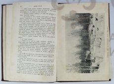 O X O T A 1888 F  M.jpg