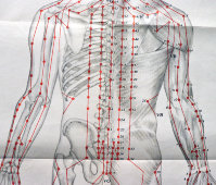Вкладыши из книги «Традиционные и современные аспекты восточной рефлексотерапии», 4 листа, автор Гаваа Лувсан, изд-во «Наука», Москва, 1990 г.
