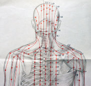 Вкладыши из книги «Традиционные и современные аспекты восточной рефлексотерапии», 4 листа, автор Гаваа Лувсан, изд-во «Наука», Москва, 1990 г.