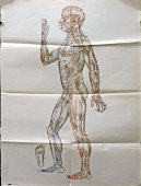 Вкладыши из книги «Традиционные и современные аспекты восточной рефлексотерапии», 4 листа, автор Гаваа Лувсан, изд-во «Наука», Москва, 1990 г.