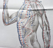Вкладыши из книги «Традиционные и современные аспекты восточной рефлексотерапии», 4 листа, автор Гаваа Лувсан, изд-во «Наука», Москва, 1990 г.