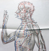 Вкладыши из книги «Традиционные и современные аспекты восточной рефлексотерапии», 4 листа, автор Гаваа Лувсан, изд-во «Наука», Москва, 1990 г.