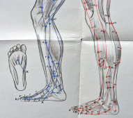 Вкладыши из книги «Традиционные и современные аспекты восточной рефлексотерапии», 4 листа, автор Гаваа Лувсан, изд-во «Наука», Москва, 1990 г.
