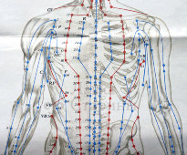 Вкладыши из книги «Традиционные и современные аспекты восточной рефлексотерапии», 4 листа, автор Гаваа Лувсан, изд-во «Наука», Москва, 1990 г.