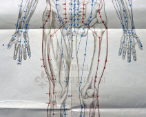 Вкладыши из книги «Традиционные и современные аспекты восточной рефлексотерапии», 4 листа, автор Гаваа Лувсан, изд-во «Наука», Москва, 1990 г.