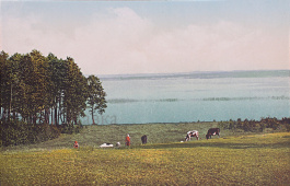 Почтовая карточка «Лифляндия. Озеро Вагула»