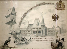 Старинное свидетельство в раме на бронзовую медаль за участие в выставке птицеводства, Москва, 1907 г.