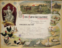 Старинное свидетельство в раме на малую золотую медаль за участие в выставке птицеводства, Смоленск, 1907 г.