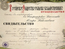 Старинное свидетельство в раме на малую золотую медаль за участие в выставке птицеводства, Смоленск, 1907 г.