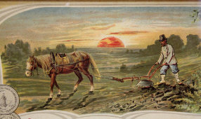 Старинное свидетельство в раме на малую золотую медаль за участие в выставке птицеводства, Смоленск, 1907 г.