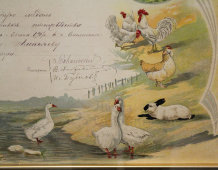 Старинное свидетельство в раме на малую золотую медаль за участие в выставке птицеводства, Смоленск, 1907 г.