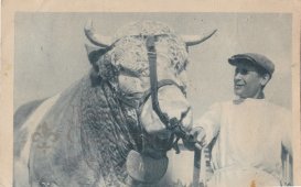 Открытка «ВСХВ» (ВДНХ)