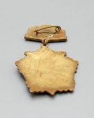 Значок СССР «Ветеран Днепровская ВФ», тяжелый металл