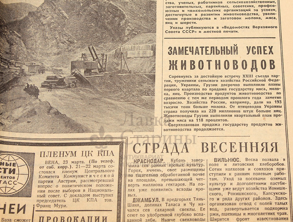 газеты советов. народный совет сам себе адвокат журнал. газеты советов. советы для огородников в газетах. газета полезные советы.
