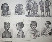 Старинная гравюра «Африканские племена»