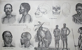 Старинная гравюра «Африканские племена»