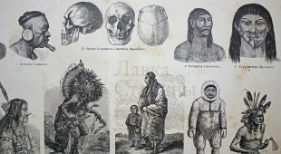 Старинная гравюра «Американские племена»