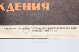 Производственный плакат «Слесарь! При рубке металла применяй защитные ограждения», художник Бирюков А., изд-во МСХ СССР, Москва, 1960 г.
