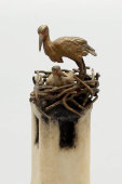 Маленькая статуэтка на подставке из камня «Гнездо с аистами», венская бронза, кон. 19 в.