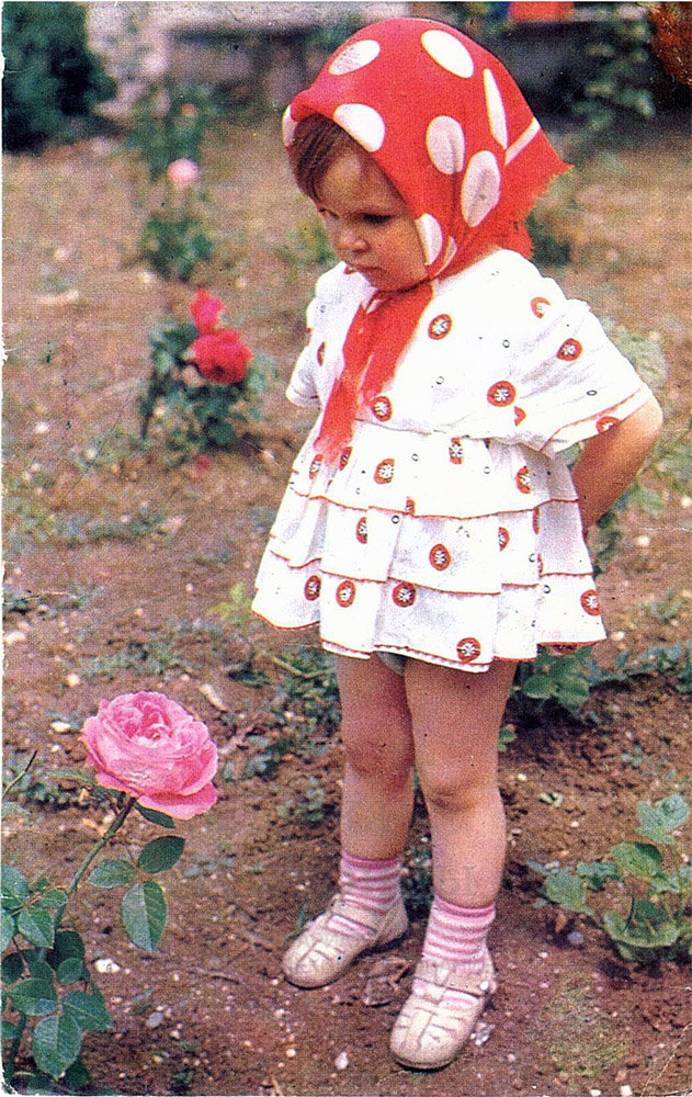 Фото Советских Цветов