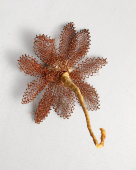 Ёлочная игрушка из канители «Цветок», Завод «Москабель», 1940-е гг.