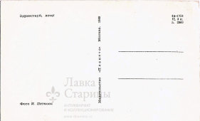 Почтовая открытка СССР «Здравствуй, лето!», 1969 г.