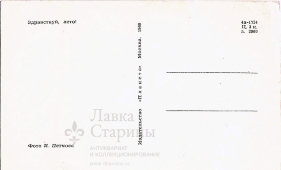Почтовая открытка СССР «Здравствуй, лето!», 1969 г.