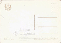 Почтовая открытка «Коза», СССР, Полиграфкомбинат, г. Калинин, 1963 г.